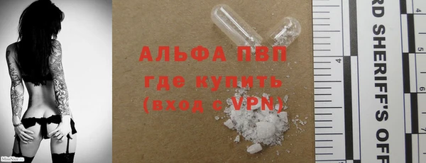 шишки Гусиноозёрск