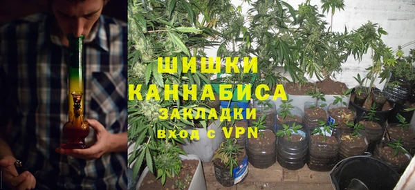 эйфоретик Гусев