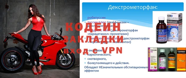 эйфоретик Гусев