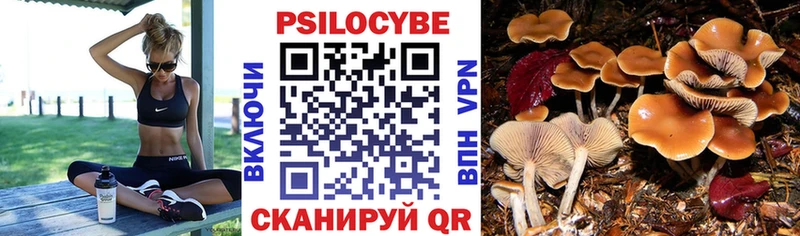 Галлюциногенные грибы прущие грибы  Купить где  Белозерск 